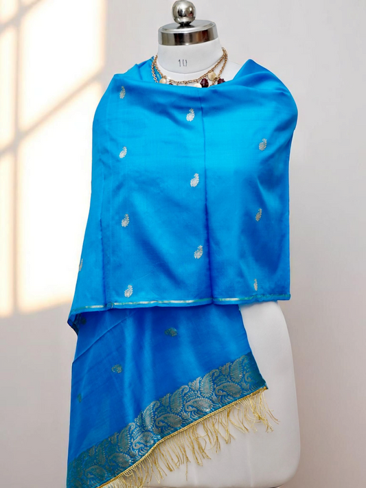 Nīlā – The Depth of Divinity |
Banarasi Pure Katan Silk Brocade Stole / Scarf / Shawl