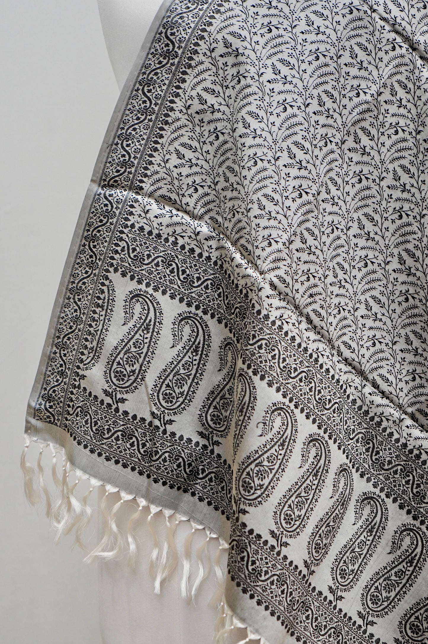  Shwetark – The Moonlit Mind | Banarasi Pure Silk Stole/Scarf/ Shawl